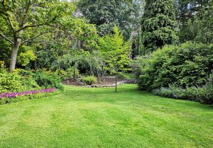 Optimiser l'expérience du jardin à Anglefort